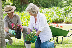 Gardening Therapy