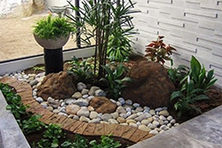 Rock Gardening