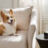 Qingping Air Monitor Lite, Apple HomeKit Compatible Wi-Fi Indoor Air Quality Meter Detects Home CO2, PM2.5, PM10… - Image 5