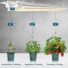 Barrina Grow Light Bulb, 96W(4 x 24W, 600W Equivalent), Full Spectrum 2FT LED Grow Light, 2-Row V-Shape T8 Integrated… - Image 4